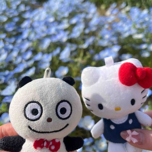 今日は友達とお出かけ日和だね！
ネモフィラ💕💕