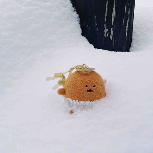 雪にゴロゴロ❄️☃︎
