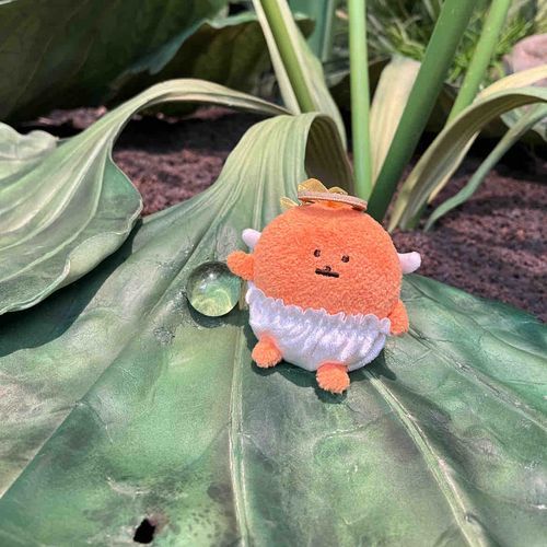 アリエッティの草もり🪽🌿
