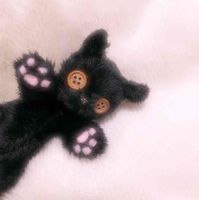 ルド