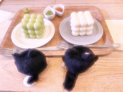 モコモコのチーズケーキ、美味しそうだねぇ〜(笑)

ポチ大＆文)「思ってたサイズと違う💦」