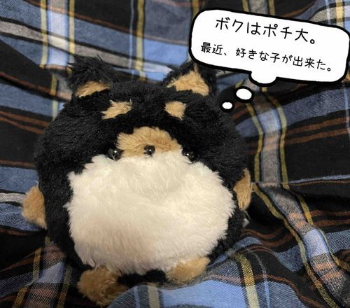 これは、ポチ大の恋物語。