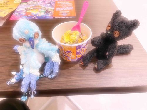 涙くん、初めてのお出掛け。

アイス、美味しかったね(..◜ᴗ◝..)