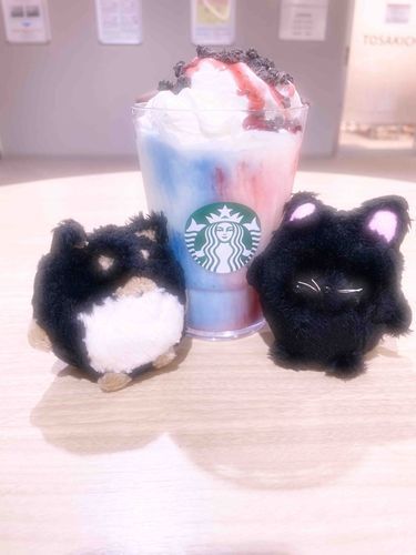 スタバの新作ฅ^•ﻌ•^ฅ

ポチ大くんと、文ちゃん、良いなぁ。。。