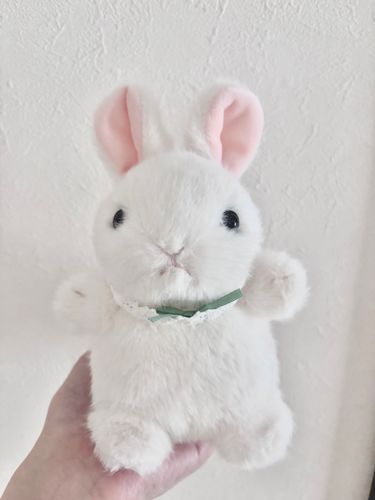 誕生日に友達からいただいた子💗🐰可愛い〜🥹💕💕