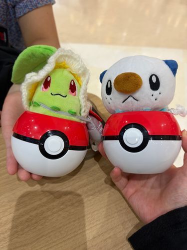 ゲットした♫