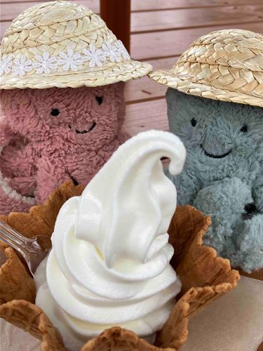 ちょっとさむいけど　おそとでソフトクリーム🍦
いろんなおいしいソフトクリームがあるけど　おーちゃんのおきにいりは「ノースプレインファーム」だよ。すきすぎて　おこっぺちょうの　ほんてんにまでいくくらい。
