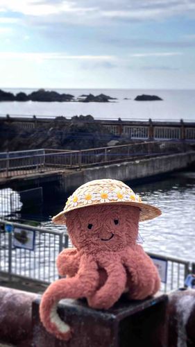 ふわもこのおともだちのみんな、2かげつぶりです。おーちゃんです。
ながいことおやすみしてたら、きせつがかわっちゃったけど、おぼえててもらえてますか？

やさしいみんなにあんまりしんぱいかけないよう、ちゃんとにんげんにはがんばってもらうからね。
これからもよろしくね。