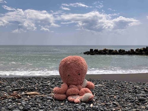 おっきいおーちゃんの　トーチカたんぼうシリーズ、みてくれてほんとうにありがとう🐙💖

さいごは　トーチカのある　たいへいようのうみと　おっきいおーちゃん。

このひは「おおしお」で、しおがとてもひいていたから　うみがとても　とおかったんだ。

なみもおだやかで　さいこうのいちにちだったよ。
