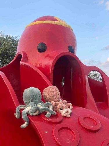 おっきいおーちゃんと　おっきいみどりのおーちゃんが　たこすべりだい🐙🛝で　あそんだときの　しゃしんだよ。たのしかったね。