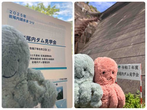 こんにちは☀️
みどりのおーちゃんです！

昨日は、天塩川水系の岩尾内湖水祭りに行きました🚗
お目当てはもちろん、岩尾内ダム見学会✨

ダム湖の下に位置する監査廊を歩いたの！外は30℃越えの蒸し暑さなのに、なんと中は6℃しかなくて、まるでサウナと水風呂の出入りしてるみたいになりました♨️整ったかな⁉️

撮影NGだったから監査廊の写真はないけど、ダンジョンみたいでワクワクしちゃった🐙🐙
