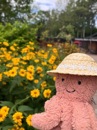 なつのはな🌼🌻を　みにいってきたよ🚗
やま🏔️の　うえにある　ガーデンだから　すずしくて　かいてきだったよ。🐝さんや　🦋さんが　たくさんとんでて　ちょっとこわかったけど。