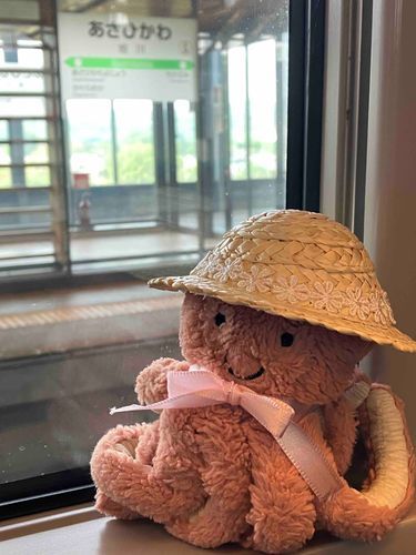 すこしまえに　れっしゃにのったときの　しゃしん。
にんげんは　れっしゃにのるのが　だいすきなんだけど　ほっかいどーは　れっしゃのほんすうも　せんろも　えきも　すくなくなりつつあるんだよね。