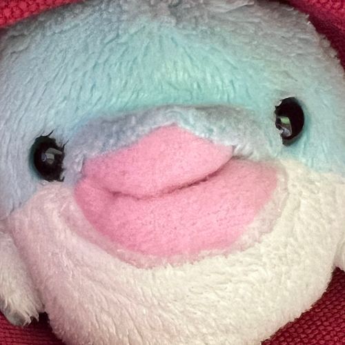主に、たらちゃんのつぶやきです。