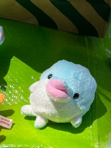 たらちゃん　ふわもこ　はじめたよ
ぼく　日記　頑張る。
これは　ピクニック　行った時　リラックスしてたら　写真撮られたやつ。