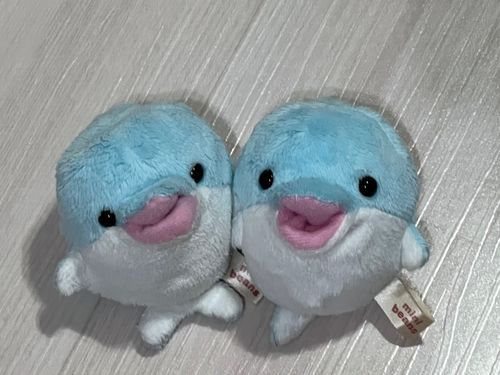 とびちゃんとのツーショットでたらちゃんうきうき