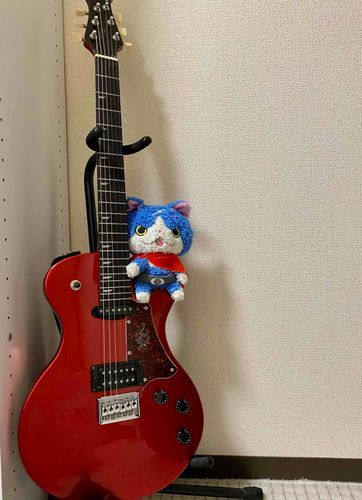 オレも弾けたらカッコいいのにな……！