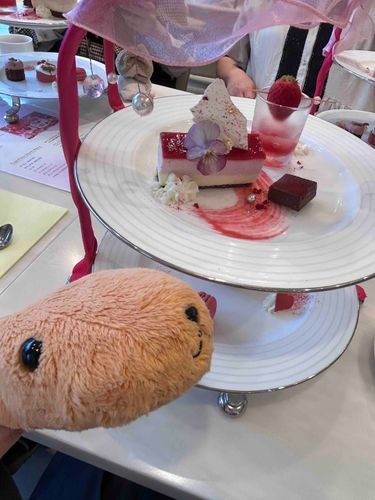 とんかつ｢アフタヌーンティーに行ってきた。
主はお茶を飲んでて楽しそうだったぞ！｣