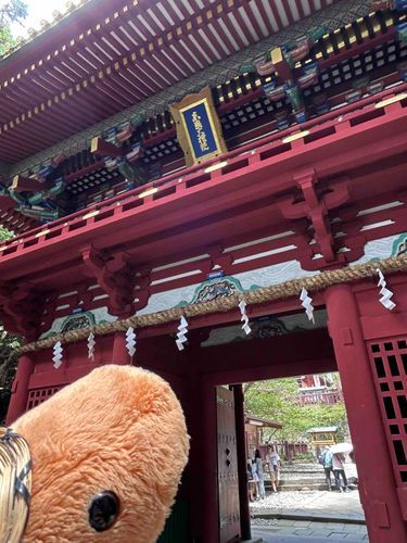 とんかつ｢久能山東照宮！｣