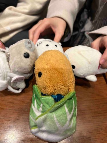 とんかつ｢友達に会ってきたぞ！！｣