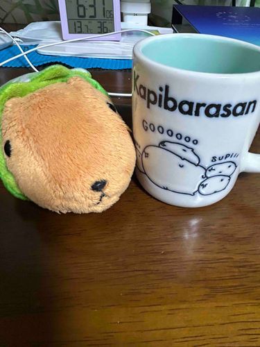 とんかつ
｢あるじの欲しかったカピバラさんのマグカップが手に入ったぞ！
このカピバラさんよく眠ってるなあ…あるじも良く寝るけど｣