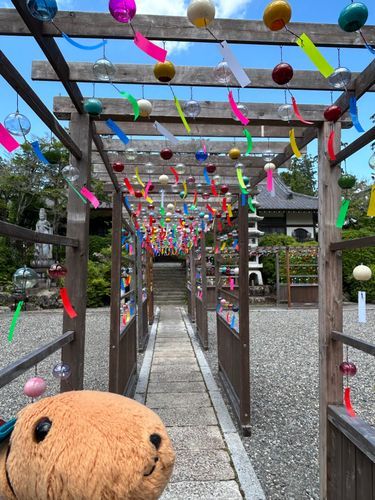 とんかつ｢風鈴の音がすごくキレイだったぞ！｣