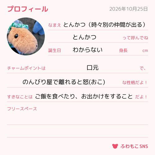 とんかつのプロフィールを載せました