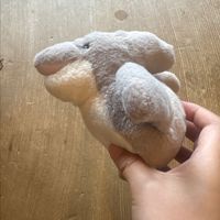 きのこ