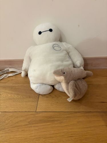 おで、きのこ🍄‍🟫
私はベイマックス🤖
新入りのベイマックスです❣️
おで、先輩て思ったけど、
ベイマックスの方が家にいたの長い🤖🍄‍🟫