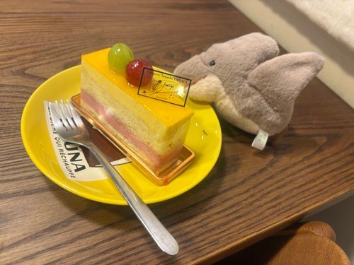おで、きのこ🍄‍🟫
主人、誕生日おめでとう🎁