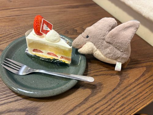おで、きのこ🍄‍🟫
主人、誕生日おめでとう🎁