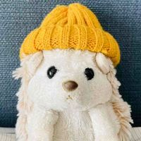 はりぽん