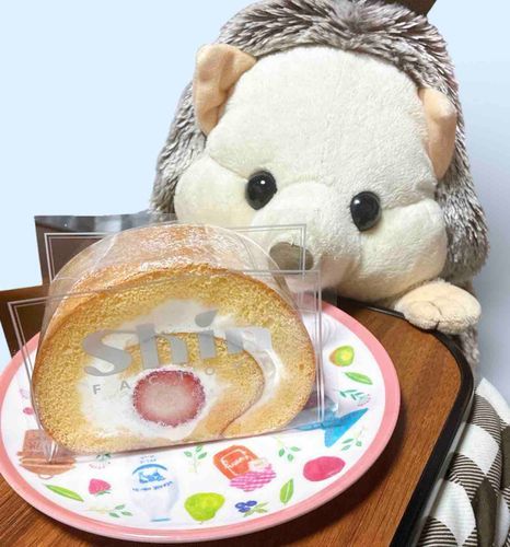 にんげんが大きなロールケーキをもらったらしい！美味しそう！待ちきれないよ！早く透明のシートめくって〜！🤤