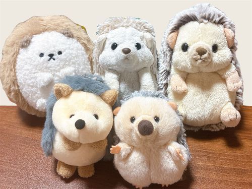 新しい仲間が4ぽんも増えたよ！🦔🦔🦔🦔𓂃 ⸒⸒ ⸒⸒
真ん中のはりぽんは、突然たくさんの新しい仲間に囲まれてちょっと緊張気味💭