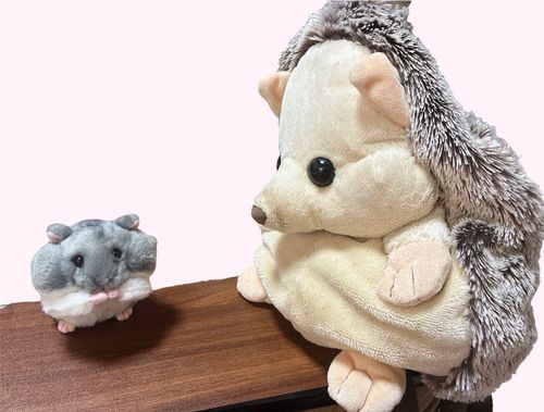 はりぽん、ハムスターと出会う🐹
新しく仲間になったハムちゃんの様子を伺っているはりぽん🦔
ほっぺた膨らんでいるところが、はりぽんと一緒だね。
