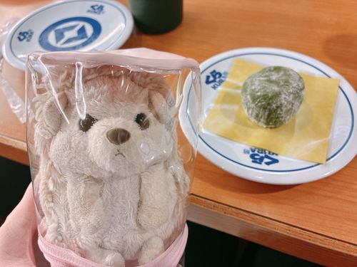 くら寿司に行って今帰ってきたんだけど、これはにんげんの姉から、「はりぽんと撮って良いよ」と言って渡された謎の餅？饅頭？だよ🫒😌


あと、はりぽんを入れているこのクリアポーチ？、何でか分からないんだけどはりぽんがこのポーチの中に入るのがキツい日があるんだよね笑笑
入口で入らづらくてストップする日があるんだけどどうして😂体型変わってないはずなのに笑