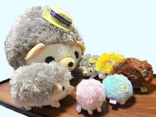 皆で何のお話しをしてるんだろう？💭この写真は皆のサイズ感が分かりやすいかも