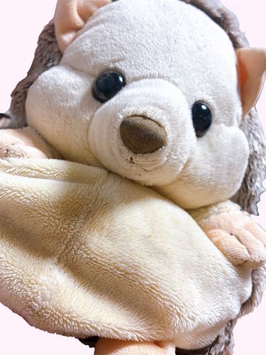 昨日にんげんが他のにんげんから心無いチクチク言葉を言われて凹んでいたんだけど、はりぽんのふわふわさを目の前にしたら、全てどうでも良くなったらしい
はりぽんのふわふわさは最強🤭

気づいたらもう2週間も投稿していなかったみたい。はりぽんのかわいい写真投稿とか、小さくてかわいい新しい仲間の紹介とか色々出来てない……！
