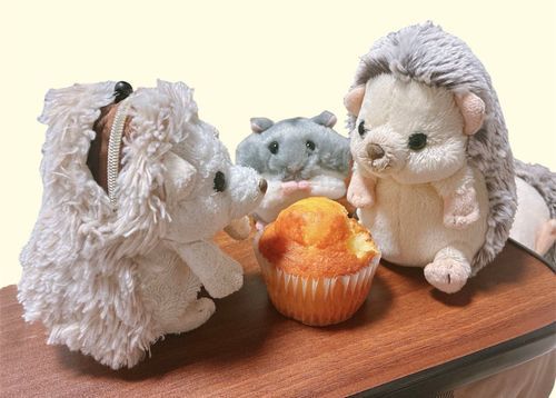 みんなでマフィンを持ち帰ろうとしている。にんげんにも分けてください。