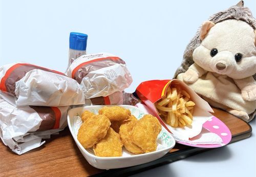 はりぽんが食卓を見て『にんげんの言う"健康志向"とは？』みたいな表情をしている。

違うんですマクドはにんげん家族が買ってきたし、ハンバーガーはにんげんの家族の分も含めて撮影しただけだから‼️‼️‼️チキンナゲットも半分に分けたよォ⁉️確かポテトも今Lサイズ250円だし⁉️⁉️⁉️許して‼️🙇🏻‍♀️