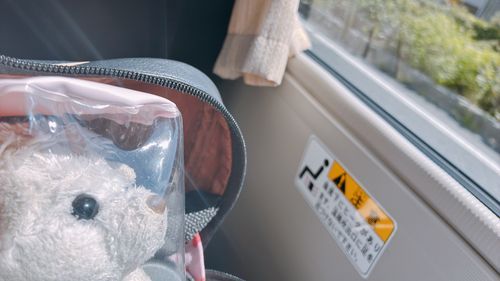 バスの車窓から🚎
外の陽射しはキツくて立っているだけで暑かったけど、車内は涼しくて快適に過ごせたよ。いつもにんげんの外出に着いて来させてごめんね、はりぽん。🌞🫠🦔(暑くて溶けて消えかけているにんげんと、はりぽんを表しています)

にんげん、方向音痴過ぎて、自分の住んでいる区内なのにバスがどこを走っているか分からなくて、これはどこに向かっているのか……？と不安になったよ笑 終点が目的地なのにね。