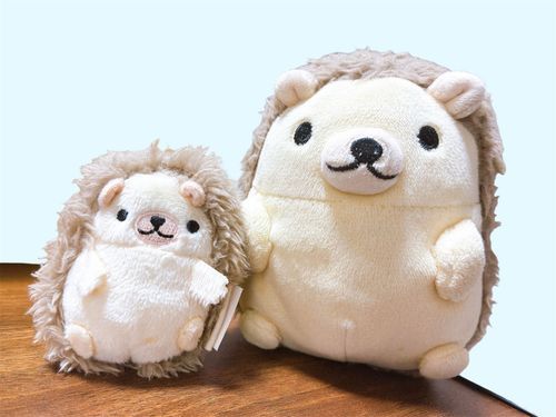 かわいい笑笑
ｶﾜｲｲﾈｪ🦔🦔🤗