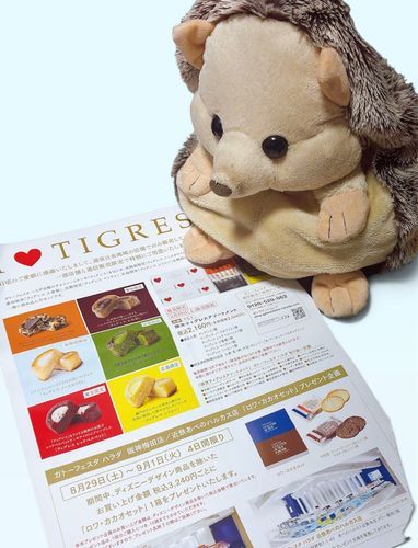 にんげんがお菓子を全く食べなくなったから、はりぽんがお菓子のチラシをずっと眺めてる😭
ごめんはりぽん！今にんげんお菓子我慢してるから、にんげんもはりぽんと一緒になってチラシ見て美味しそう……ってなってるところなんだ……🤤

気がつけば8月全然投稿していなかった……！また可愛い新しい子がおうちに来たから紹介したい！