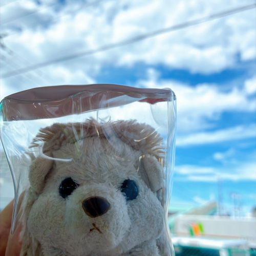 今日はあいにくの雨だけど、昨日のバスの車内から撮った青空はりぽん写真を見て元気を出していこう〜☁️🫧