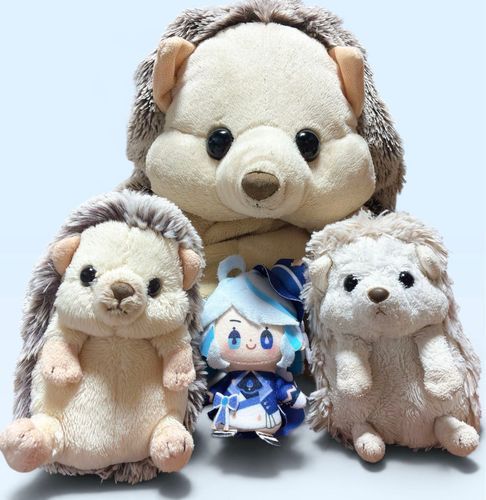 今日は原神のフリーナちゃんの誕生日🎉
みんなでお祝いしに来たよ💧🦔
ふわふわもふもふに囲まれてる💭良いなあ……🤭