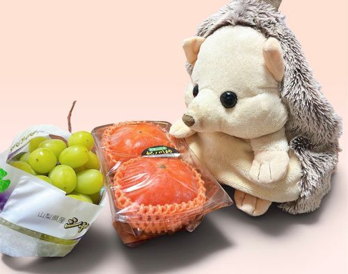 はりぽんにとって、秋とは食欲の秋──── 🍁🍂🍐🍇🍠🍊🌰
最近、にんげんの住んでいる近所のご婦人方からよく果物とか色々くださることが多くて、何日か前に梨とさつまいもをもらったよ。そして昨日は別の方からシャインマスカットに柿、お菓子やなんか良さそうな卵ももらった。
いつの間にか秋の味覚を網羅していたよ笑
はりぽん、秋の間にもっとふっくらふわふわもちもちボディになっちゃうかもしれない🤭