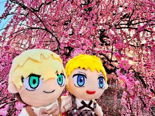 春だね🌸