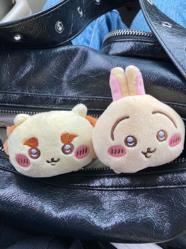 新しい仲間シーサーちゃん