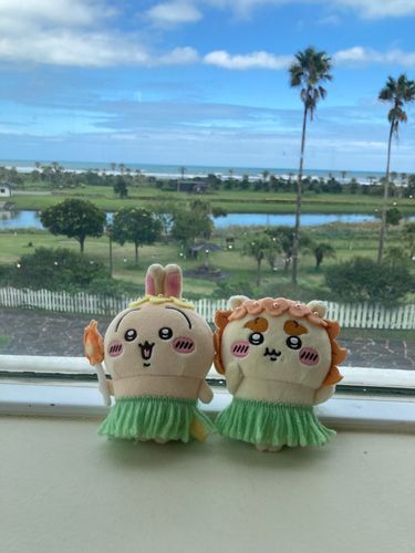 海だね〜🌊
