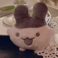 みみっち